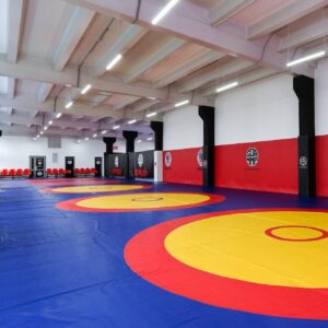 Борцовский ковер 12 м * 12 м, крепление липучка